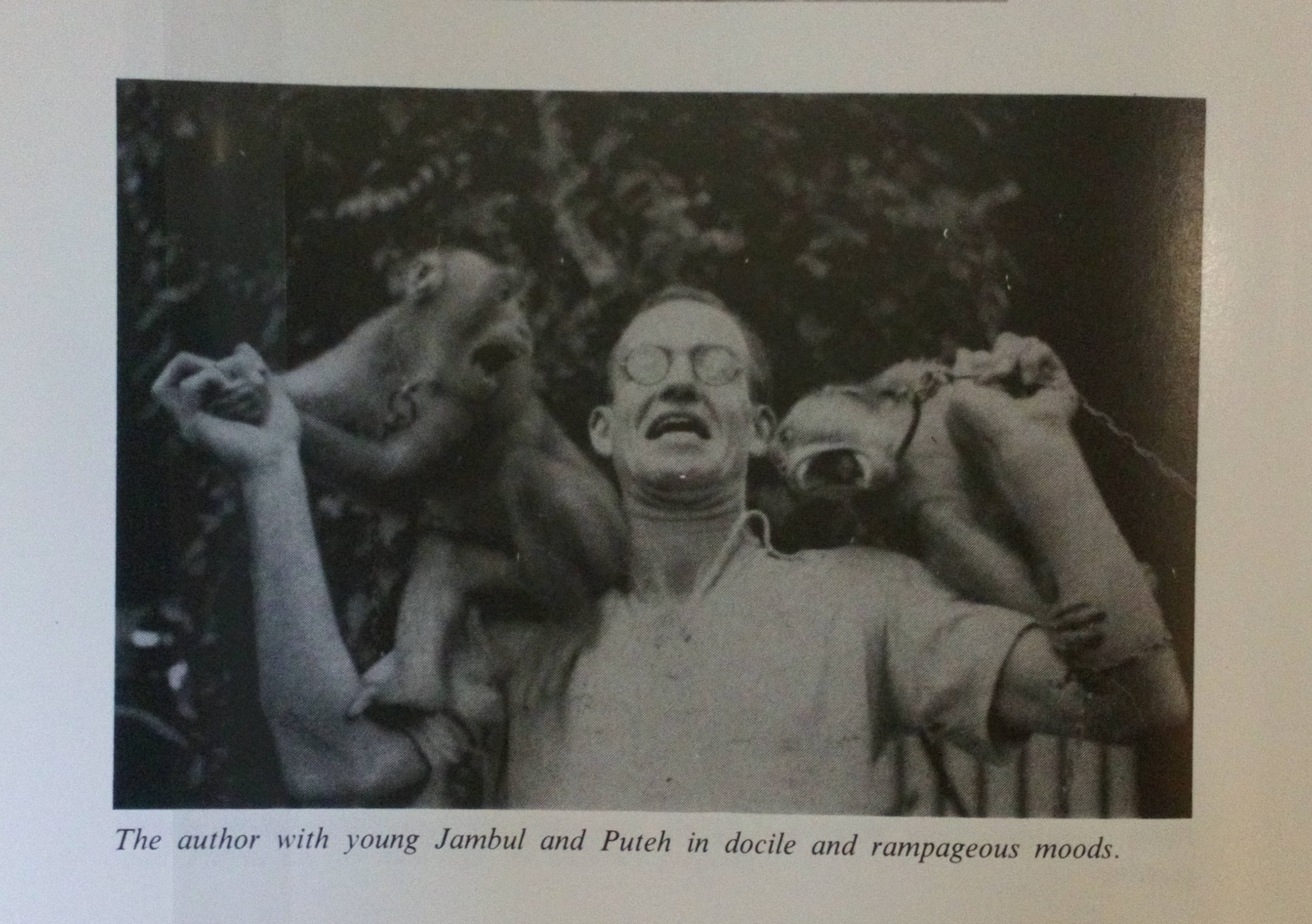 E.J.H. Corner with his monkeys 